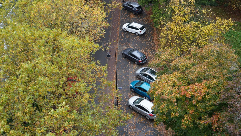 An aerial view of a parking area surrounded by trees with yellow and green leaves, showing five parked cars of various colours, including white, black, blue, and grey, positioned on a paved surface with scattered fallen leaves. A single black lamppost is situated along the edge of the parking space. The scene is captured during daytime, with natural light illuminating the area, and the trees indicating an autumn setting. The image depicts a typical parking zone possibly adjacent to a residential or commercial property, with no visible moving activity, but it relates to house removals or furniture transport logistics supported by Kingston upon Thames house removal services, as referenced on the page from Kingstonuponthamesmanandvan.co.uk.